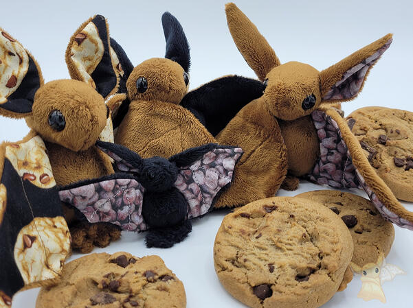 Pattern by Beezeeart